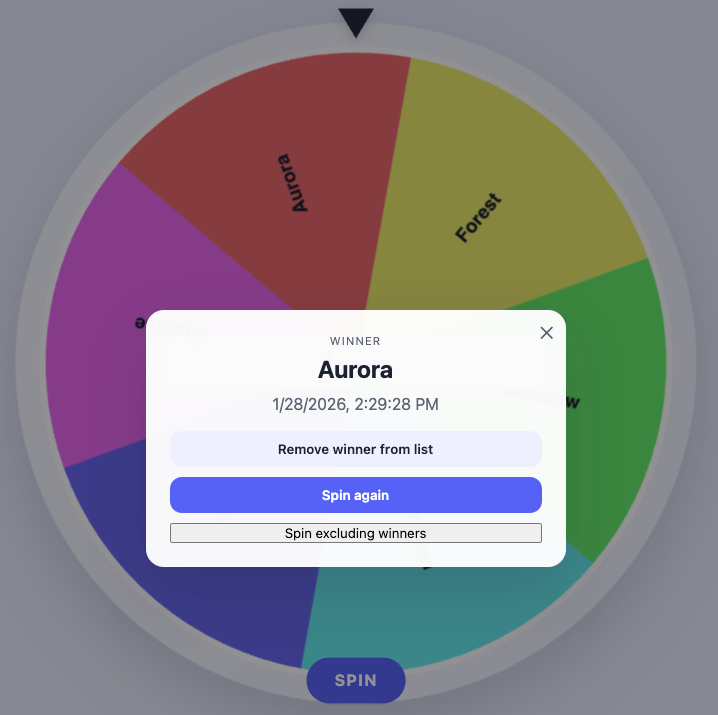 Winner modal with spin controls